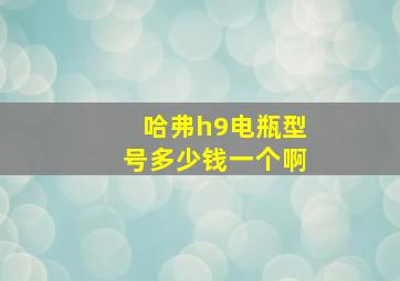 哈弗h9电瓶型号多少钱一个啊