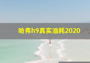 哈弗h9真实油耗2020