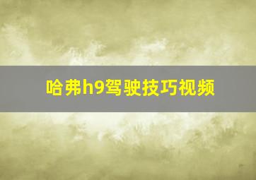 哈弗h9驾驶技巧视频