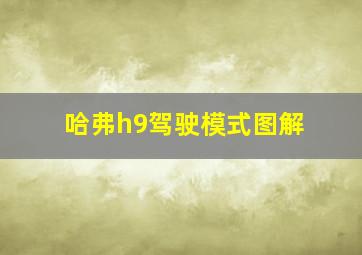 哈弗h9驾驶模式图解