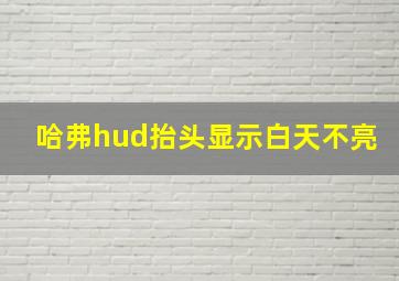 哈弗hud抬头显示白天不亮