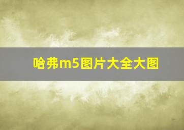 哈弗m5图片大全大图