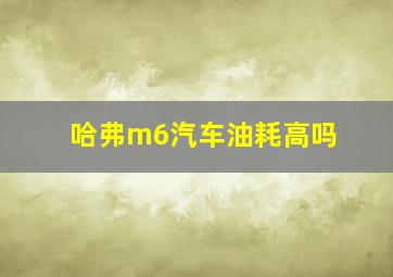 哈弗m6汽车油耗高吗