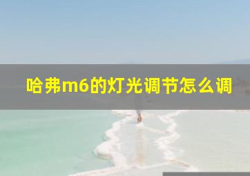 哈弗m6的灯光调节怎么调