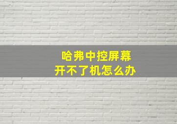 哈弗中控屏幕开不了机怎么办