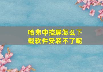 哈弗中控屏怎么下载软件安装不了呢