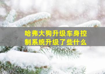 哈弗大狗升级车身控制系统升级了些什么