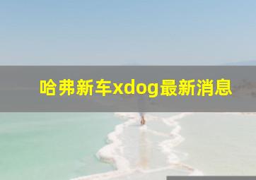 哈弗新车xdog最新消息