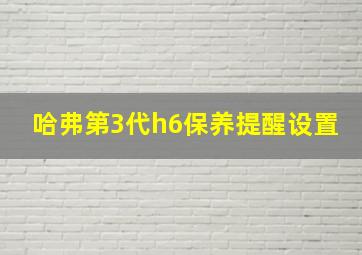 哈弗第3代h6保养提醒设置