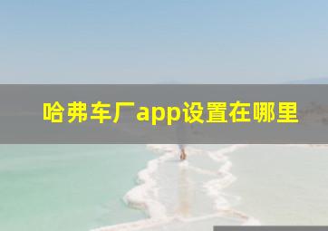 哈弗车厂app设置在哪里