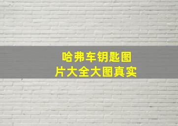 哈弗车钥匙图片大全大图真实