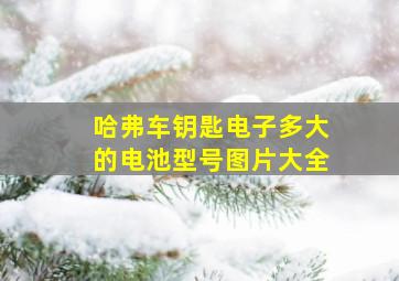 哈弗车钥匙电子多大的电池型号图片大全