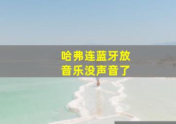 哈弗连蓝牙放音乐没声音了