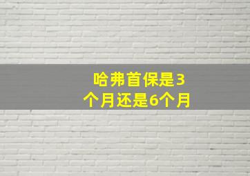 哈弗首保是3个月还是6个月