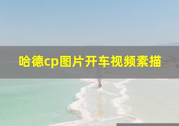 哈德cp图片开车视频素描