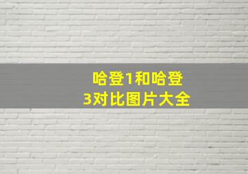 哈登1和哈登3对比图片大全