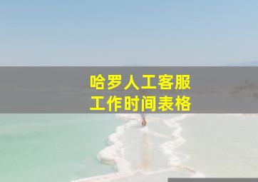 哈罗人工客服工作时间表格