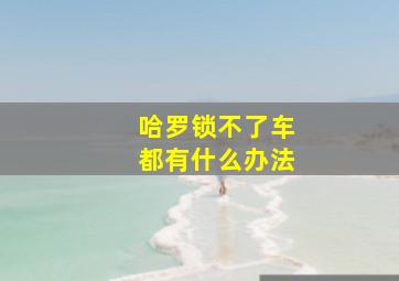 哈罗锁不了车都有什么办法