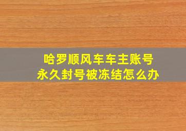 哈罗顺风车车主账号永久封号被冻结怎么办