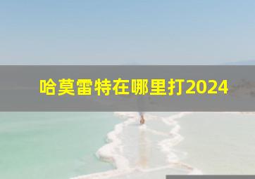 哈莫雷特在哪里打2024