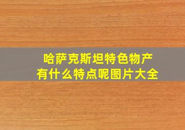 哈萨克斯坦特色物产有什么特点呢图片大全