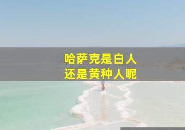 哈萨克是白人还是黄种人呢