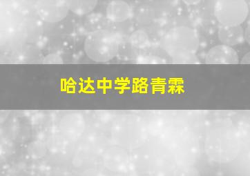 哈达中学路青霖