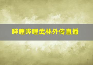 哔哩哔哩武林外传直播