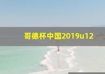 哥德杯中国2019u12