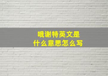 哦谢特英文是什么意思怎么写