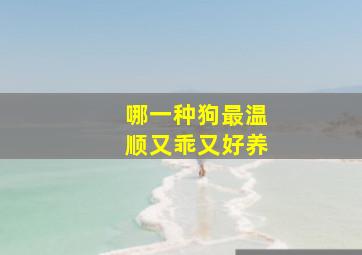 哪一种狗最温顺又乖又好养