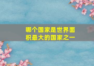 哪个国家是世界面积最大的国家之一