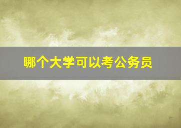 哪个大学可以考公务员