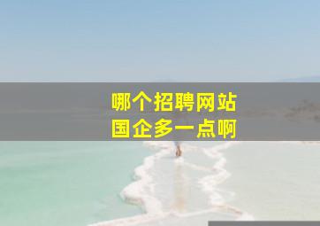 哪个招聘网站国企多一点啊