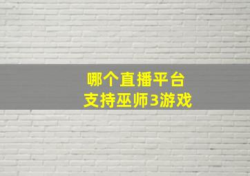 哪个直播平台支持巫师3游戏