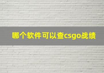 哪个软件可以查csgo战绩