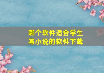 哪个软件适合学生写小说的软件下载