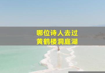 哪位诗人去过黄鹤楼洞庭湖