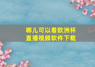 哪儿可以看欧洲杯直播视频软件下载