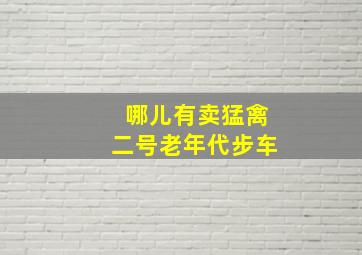 哪儿有卖猛禽二号老年代步车