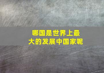 哪国是世界上最大的发展中国家呢