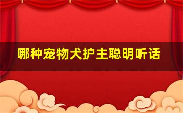 哪种宠物犬护主聪明听话