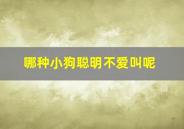 哪种小狗聪明不爱叫呢