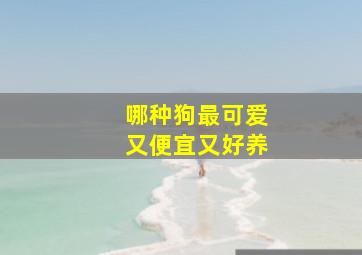 哪种狗最可爱又便宜又好养