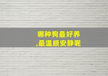 哪种狗最好养,最温顺安静呢