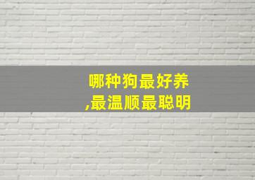 哪种狗最好养,最温顺最聪明