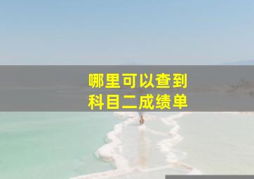 哪里可以查到科目二成绩单