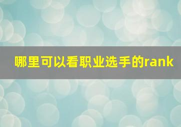 哪里可以看职业选手的rank