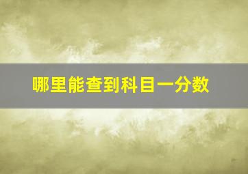 哪里能查到科目一分数