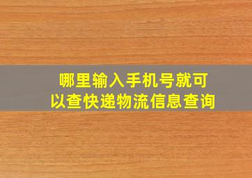 哪里输入手机号就可以查快递物流信息查询